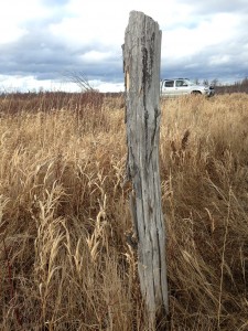 Photo of agricultural field