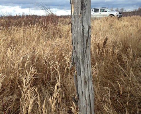 Photo of agricultural field