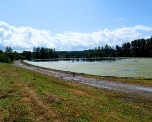 Tailings pond
