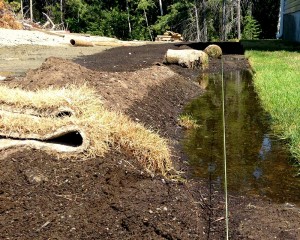 Image of lawn boundary on private property