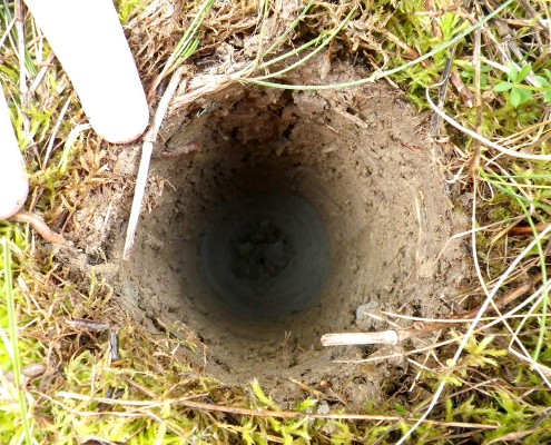 Sample of mining tailings