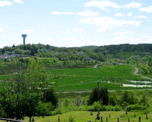 Municipal wetland