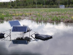 image of municipal wetland with solar panels