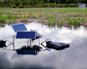 Municipal wetland