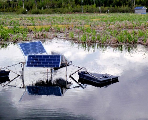 Municipal wetland