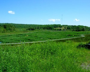 Municipal wetland