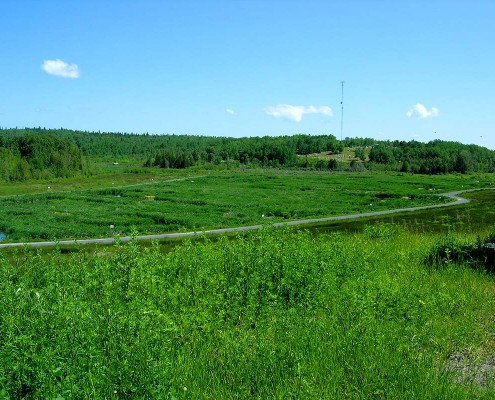 Municipal wetland