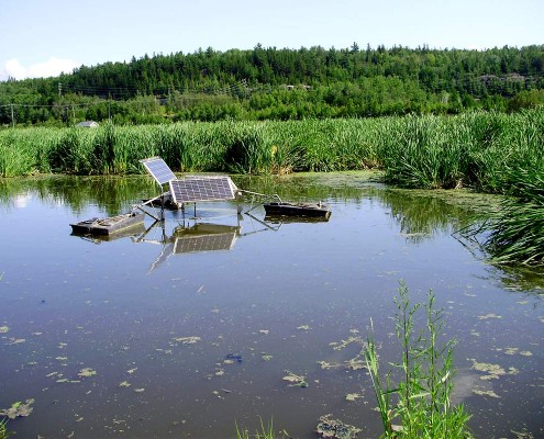 Municipal wetland