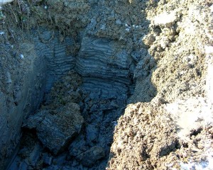 test pit for soil sampling