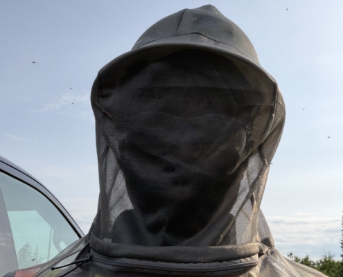 PPE vs Bug Season